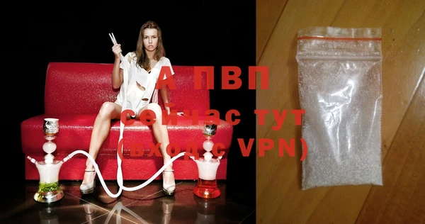 индика Верея
