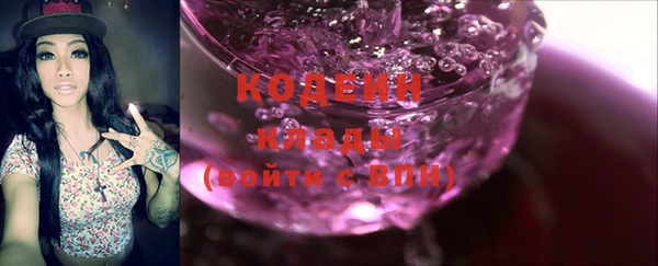 индика Верея