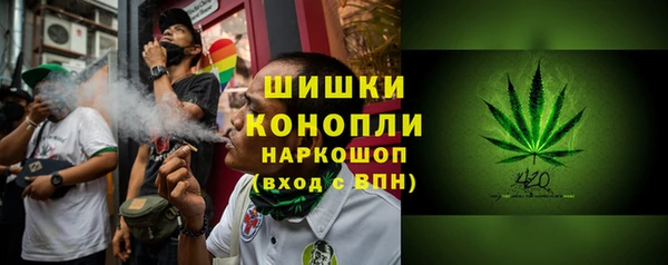 мдпв Верхний Тагил