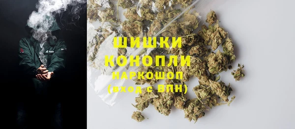 индика Верея
