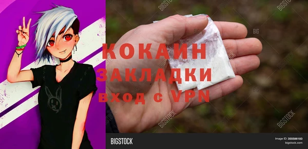 мдпв Верхний Тагил