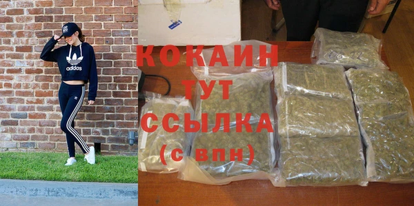 индика Верея
