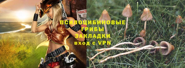 мдпв Верхний Тагил