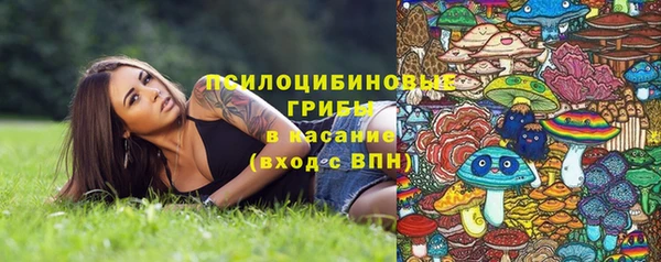 индика Верея