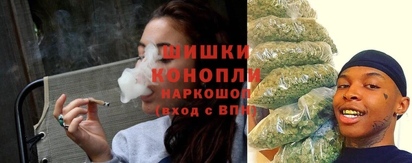 мдпв Верхний Тагил